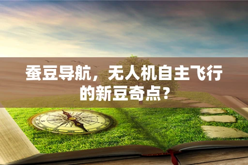 蚕豆导航，无人机自主飞行的新豆奇点？