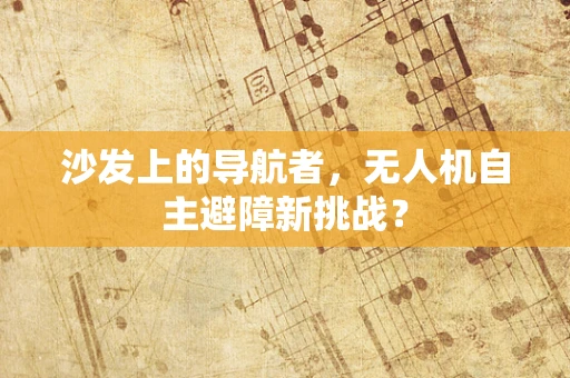 沙发上的导航者，无人机自主避障新挑战？