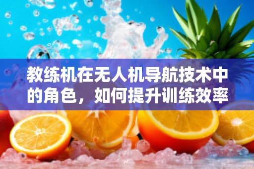 教练机在无人机导航技术中的角色，如何提升训练效率与安全性？