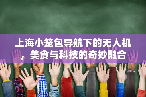 上海小笼包导航下的无人机，美食与科技的奇妙融合