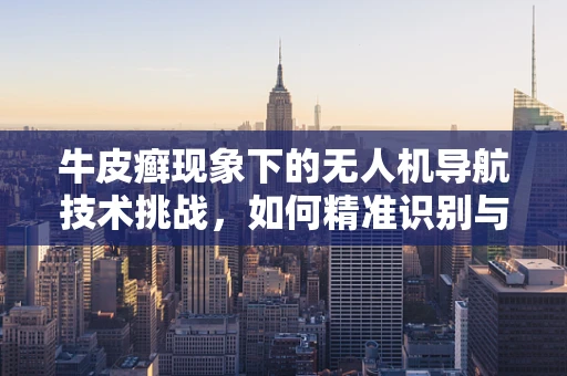 牛皮癣现象下的无人机导航技术挑战，如何精准识别与规避？