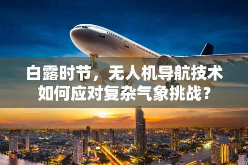 白露时节，无人机导航技术如何应对复杂气象挑战？