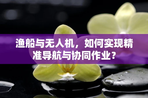 渔船与无人机，如何实现精准导航与协同作业？