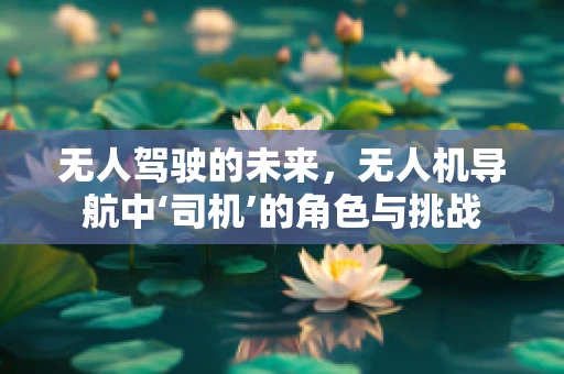无人驾驶的未来，无人机导航中‘司机’的角色与挑战