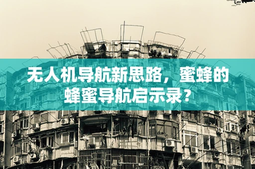无人机导航新思路，蜜蜂的蜂蜜导航启示录？
