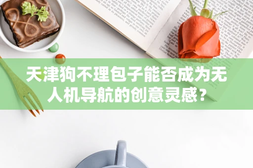 天津狗不理包子能否成为无人机导航的创意灵感？