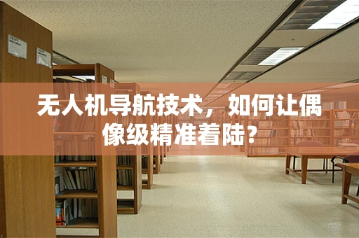 无人机导航技术，如何让偶像级精准着陆？