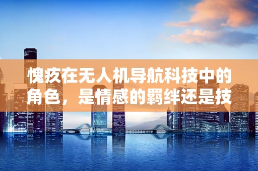 愧疚在无人机导航科技中的角色，是情感的羁绊还是技术的障碍？
