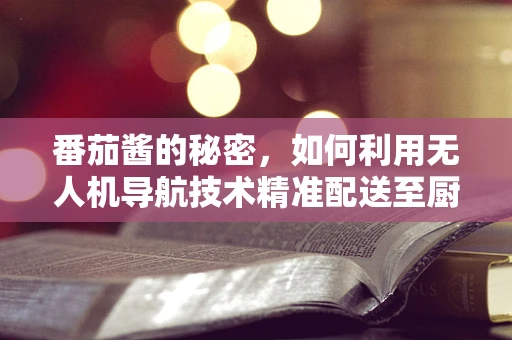番茄酱的秘密，如何利用无人机导航技术精准配送至厨房？