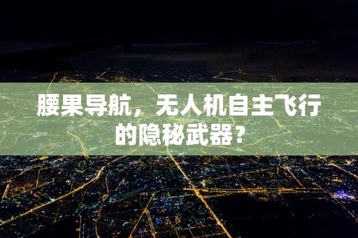 腰果导航，无人机自主飞行的隐秘武器？