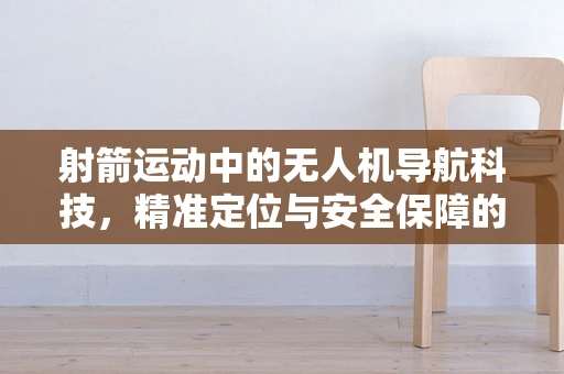 射箭运动中的无人机导航科技，精准定位与安全保障的未来？