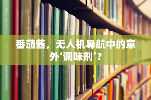 番茄酱，无人机导航中的意外‘调味剂’？