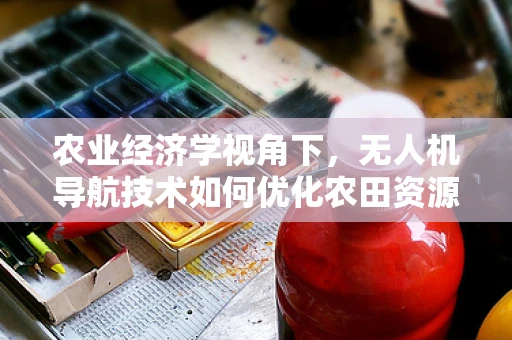 农业经济学视角下，无人机导航技术如何优化农田资源分配？