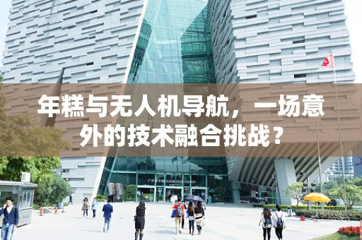 年糕与无人机导航，一场意外的技术融合挑战？