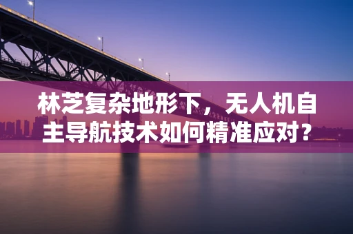 林芝复杂地形下，无人机自主导航技术如何精准应对？