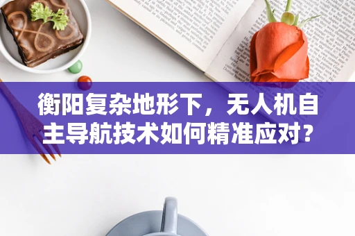 衡阳复杂地形下，无人机自主导航技术如何精准应对？