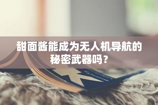 甜面酱能成为无人机导航的秘密武器吗？