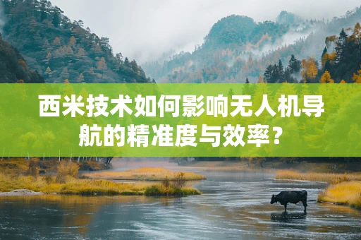 西米技术如何影响无人机导航的精准度与效率？