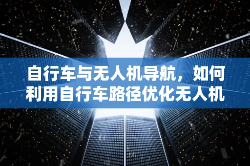 自行车与无人机导航，如何利用自行车路径优化无人机飞行？