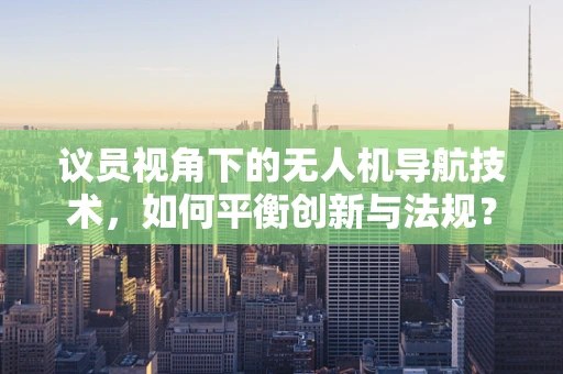 议员视角下的无人机导航技术，如何平衡创新与法规？