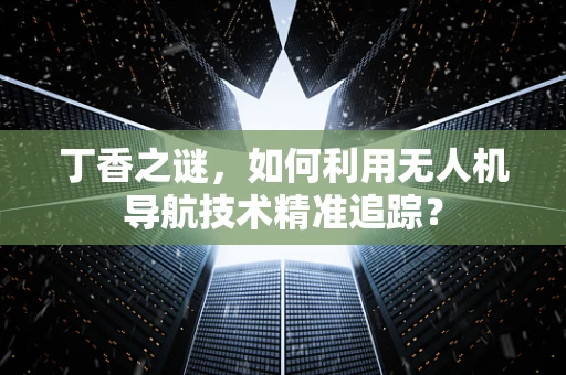 丁香之谜，如何利用无人机导航技术精准追踪？
