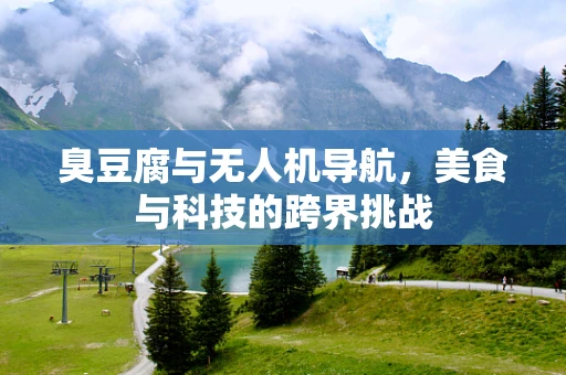 臭豆腐与无人机导航，美食与科技的跨界挑战