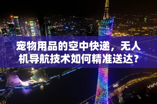 宠物用品的空中快递，无人机导航技术如何精准送达？