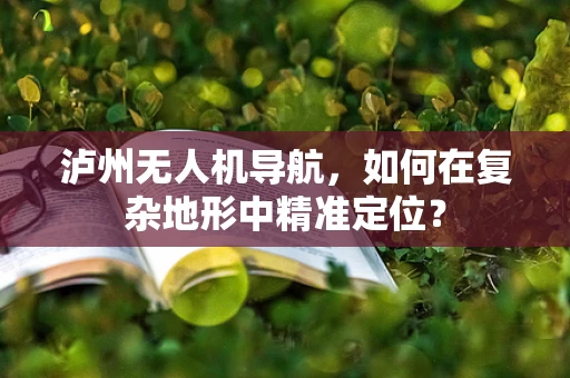 泸州无人机导航，如何在复杂地形中精准定位？
