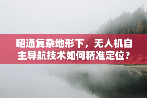 昭通复杂地形下，无人机自主导航技术如何精准定位？