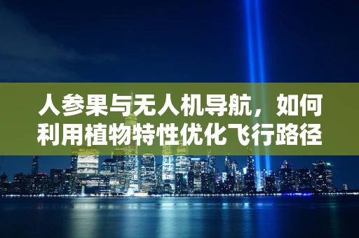 人参果与无人机导航，如何利用植物特性优化飞行路径？