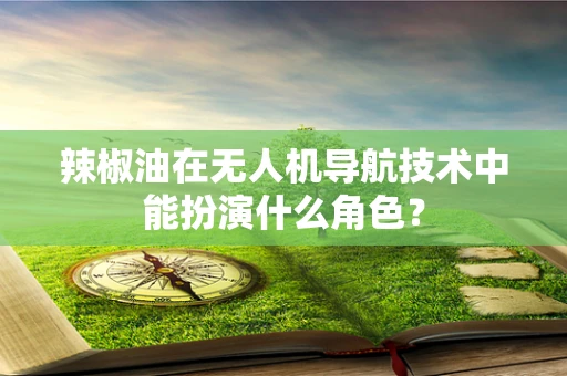 辣椒油在无人机导航技术中能扮演什么角色？