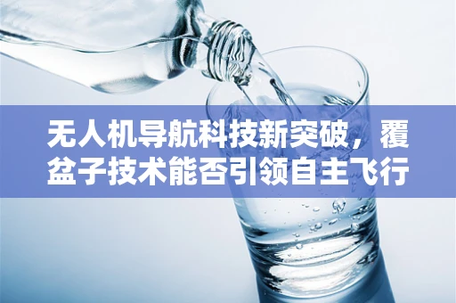 无人机导航科技新突破，覆盆子技术能否引领自主飞行新纪元？