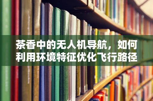 茶香中的无人机导航，如何利用环境特征优化飞行路径？