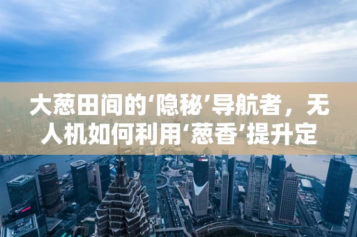 大葱田间的‘隐秘’导航者，无人机如何利用‘葱香’提升定位精度？