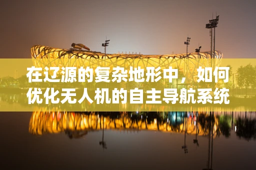 在辽源的复杂地形中，如何优化无人机的自主导航系统？