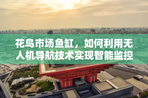花鸟市场鱼缸，如何利用无人机导航技术实现智能监控？