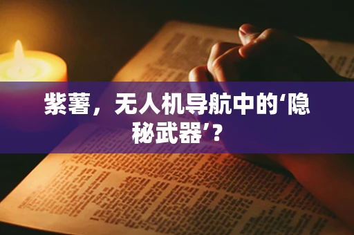 紫薯，无人机导航中的‘隐秘武器’？