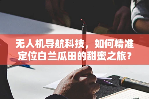 无人机导航科技，如何精准定位白兰瓜田的甜蜜之旅？