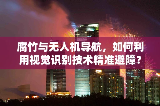 腐竹与无人机导航，如何利用视觉识别技术精准避障？