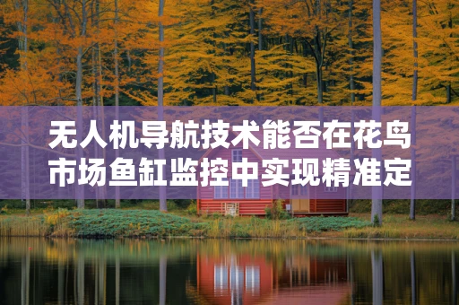 无人机导航技术能否在花鸟市场鱼缸监控中实现精准定位？