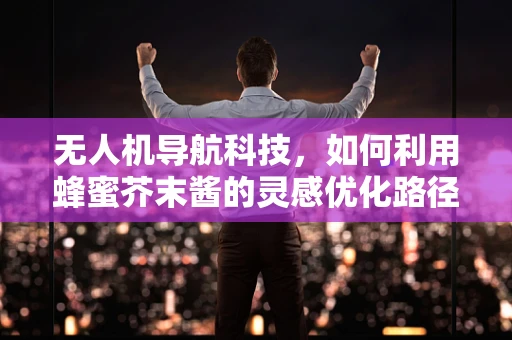 无人机导航科技，如何利用蜂蜜芥末酱的灵感优化路径规划？