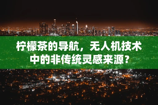 柠檬茶的导航，无人机技术中的非传统灵感来源？