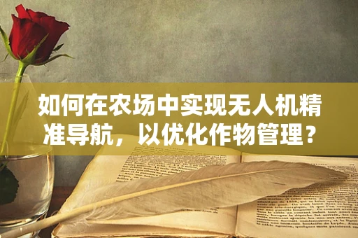 如何在农场中实现无人机精准导航，以优化作物管理？
