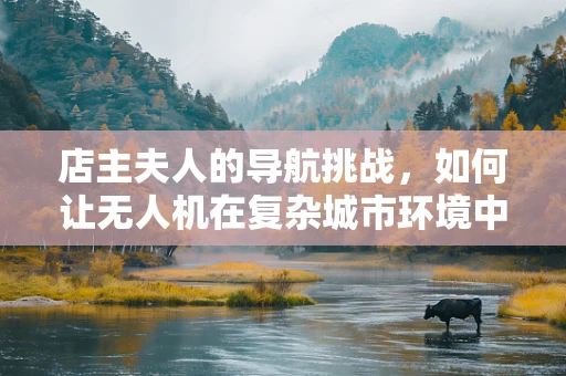 店主夫人的导航挑战，如何让无人机在复杂城市环境中精准定位？
