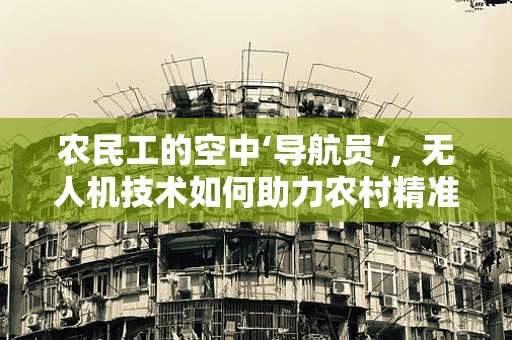 农民工的空中‘导航员’，无人机技术如何助力农村精准作业？