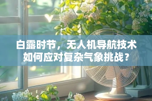 白露时节，无人机导航技术如何应对复杂气象挑战？