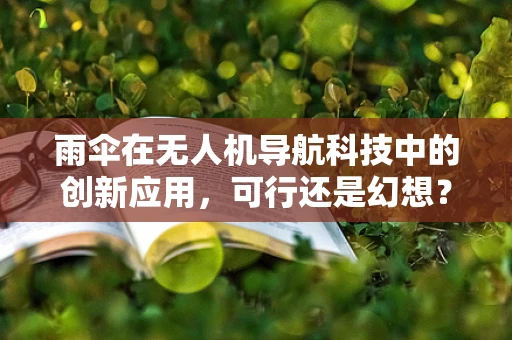 雨伞在无人机导航科技中的创新应用，可行还是幻想？