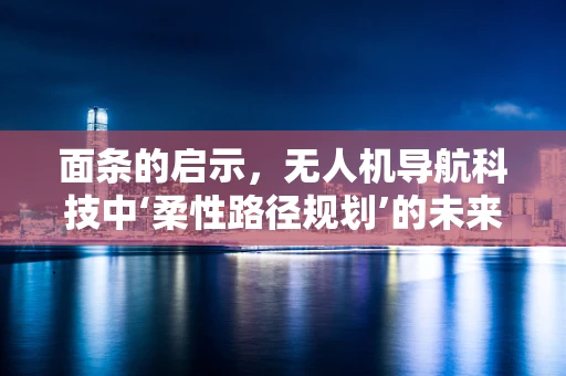 面条的启示，无人机导航科技中‘柔性路径规划’的未来？