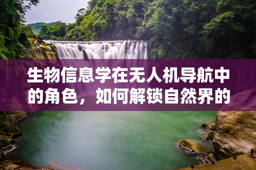 生物信息学在无人机导航中的角色，如何解锁自然界的导航智慧？