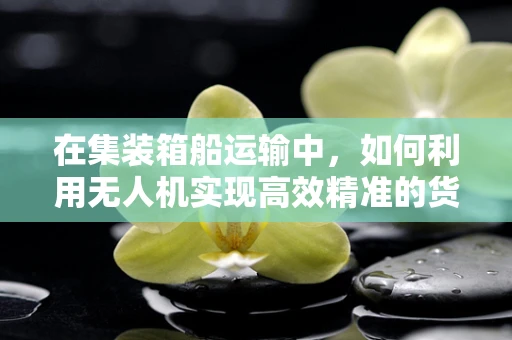 在集装箱船运输中，如何利用无人机实现高效精准的货物追踪与导航？